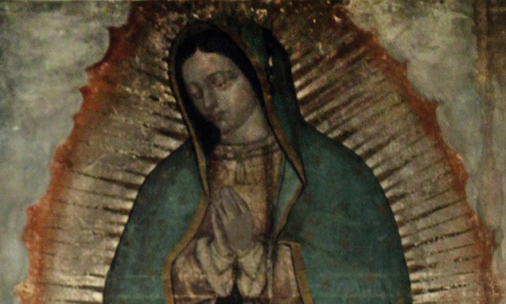 Special Report: Our Lady of Guadalupe